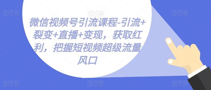 微信视频号引流课程-引流+裂变+直播+变现，获取红利，把握短视频超级流量风口-87创业网