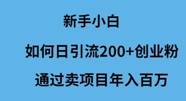 (9668期)新手小白如何日引流200+创业粉通过卖项目年入百万-87创业网