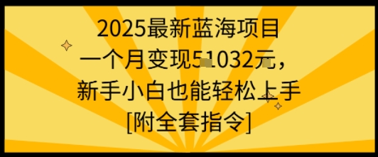 2025最新蓝海项目一个月变现1w+新手小白也能轻松上手【附全套指令】-87创业网