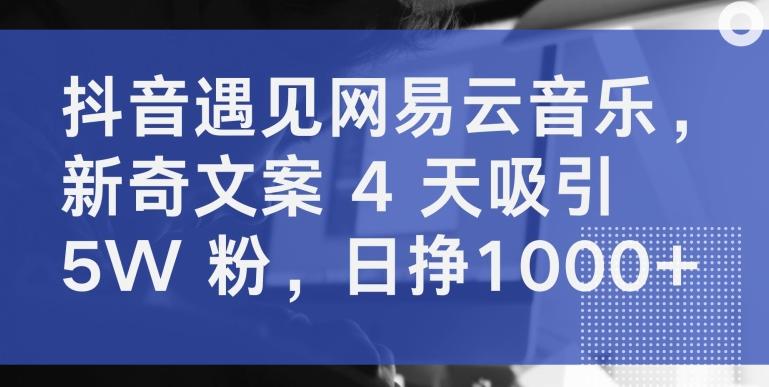 抖音遇见网易云音乐，新奇文案 4 天吸引 5W 粉，日挣1000+【揭秘】-87创业网