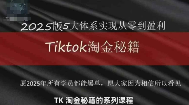 TikTok跨境2025淘金秘籍，​2025TikTok从0到盈利变现-87创业网