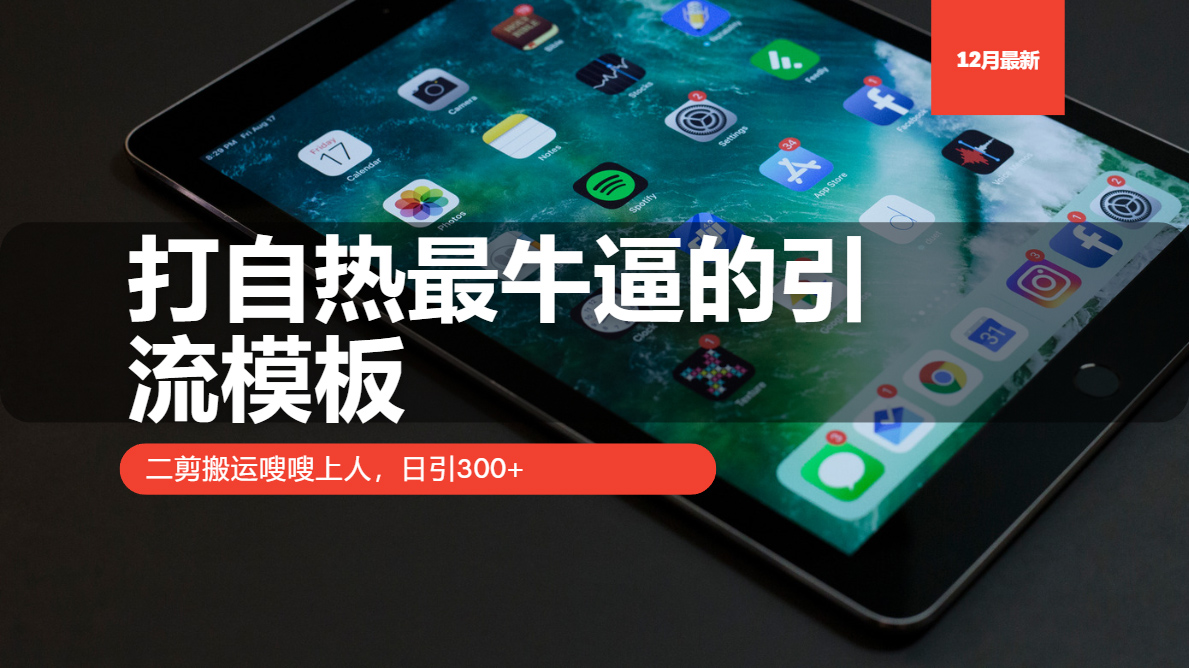 打自热最牛逼的引流模板，二剪搬运嗖嗖上人，日引300+-87创业网
