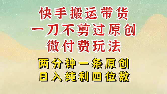 快手黑科技搬运带货，一刀不剪过原创，微付费投流玩法，轻松日入四位数…-87创业网