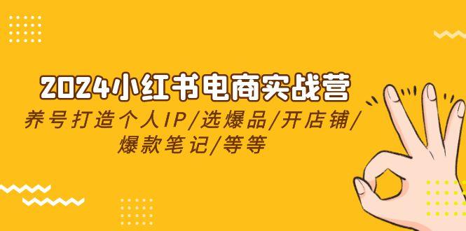 2024小红书电商实战营，养号打造IP/选爆品/开店铺/爆款笔记/等等(24节)-87创业网