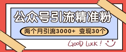 公众号精准粉引流玩法，2个月3000+精准粉，变现30个W【揭秘】-87创业网