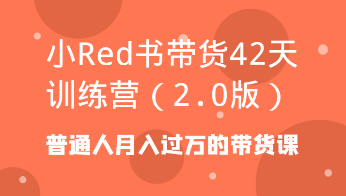 小Red书带货42天训练营(2.0版)普通人月入过万的带货课-87创业网