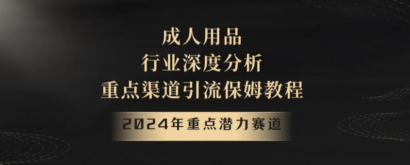 2024年重点潜力赛道，成人用品行业深度分析，重点渠道引流保姆教程【揭秘】-87创业网