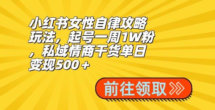 小红书女性自律攻略玩法，起号一周1W粉，私域情商干货单日变现500＋-87创业网