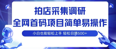 拍店采集调研，全网首码项目，简单易操作， 小白也能轻松上手，多账号操作，轻松日入5张【揭秘】-87创业网