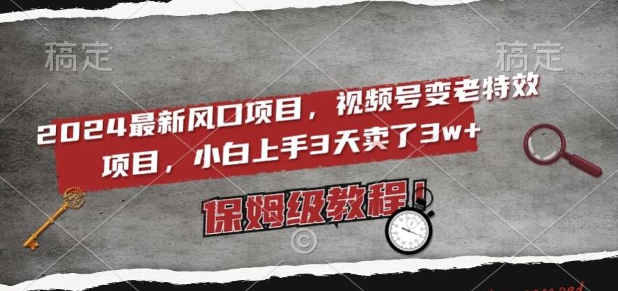 2024最新风口项目，视频号变老特效项目，电脑小白上手3天卖了3w+，保姆级教程【揭秘】-87创业网