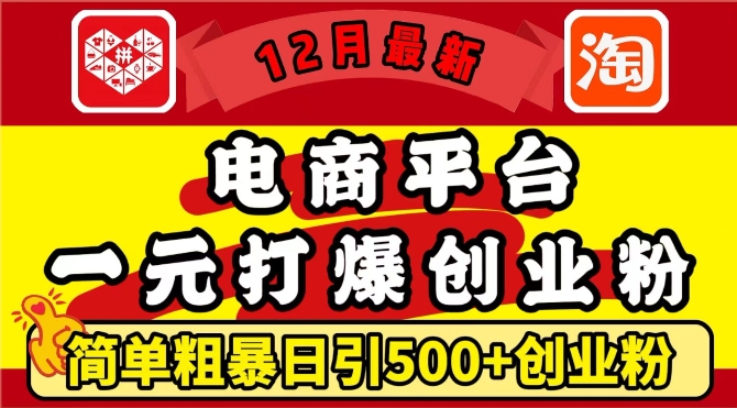 12月最新：电商平台1元打爆创业粉，简单粗暴日引500+精准创业粉，轻松月入过W【揭秘】-87创业网