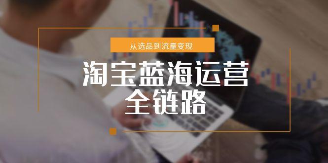 淘宝蓝海运营全链路，从选品到流量变现，小类目突围完整方案-87创业网