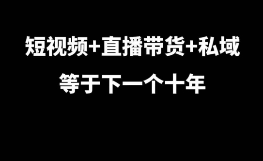 短视频+直播带货+私域等于下一个十年，大佬7年实战经验总结-87创业网