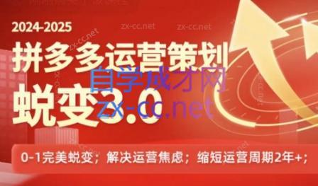 大力老师·2024拼多多运营策略蜕变3.0-87创业网