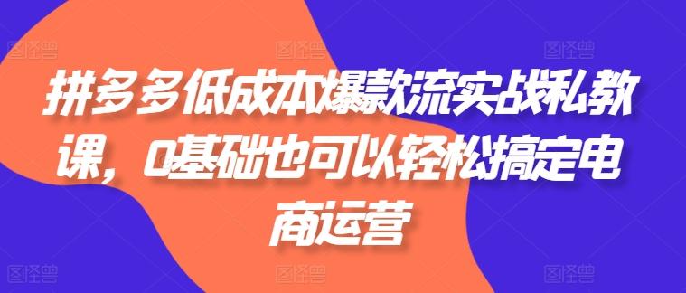 拼多多低成本爆款流实战私教课，0基础也可以轻松搞定电商运营-87创业网