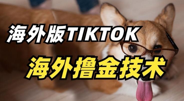 抖音海外版tiktok撸金技术，这个风口行业，赚钱真的不难【揭秘】-87创业网