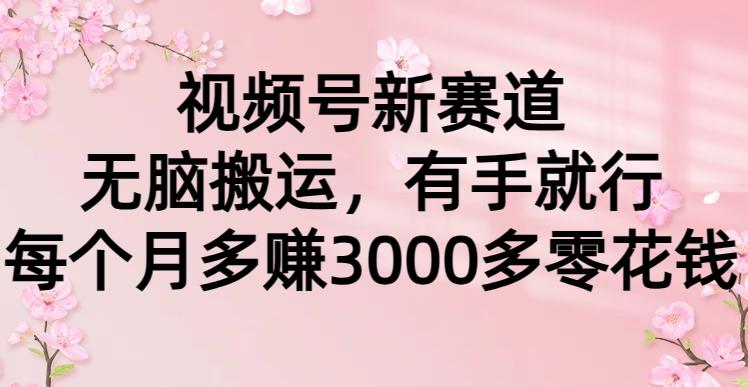 (9278期)视频号新赛道，无脑搬运，有手就行，每个月多赚3000多零花钱-87创业网