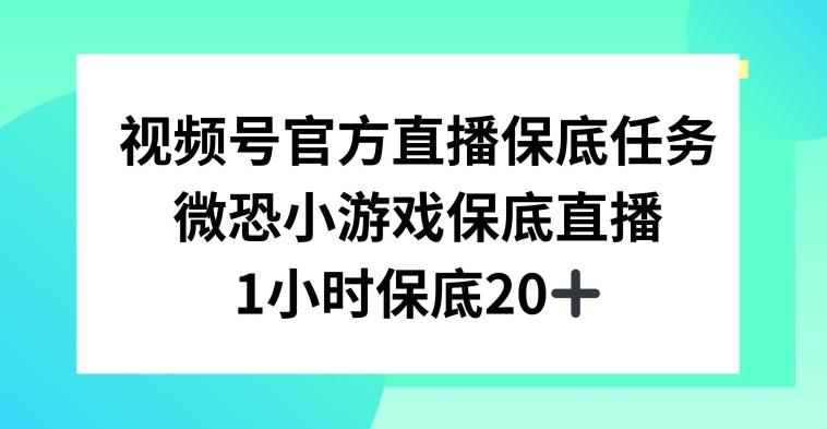 视频号直播任务，微恐小游戏，1小时20+【揭秘】-87创业网