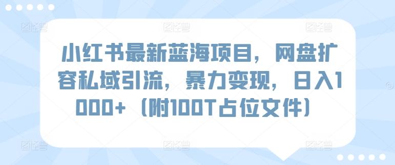小红书最新蓝海项目，网盘扩容私域引流，暴力变现，日入1000+(附100T占位文件)【揭秘】-87创业网