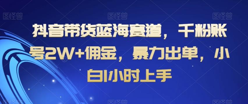 抖音带货蓝海赛道，千粉账号2W+佣金，暴力出单，小白1小时上手【揭秘】-87创业网