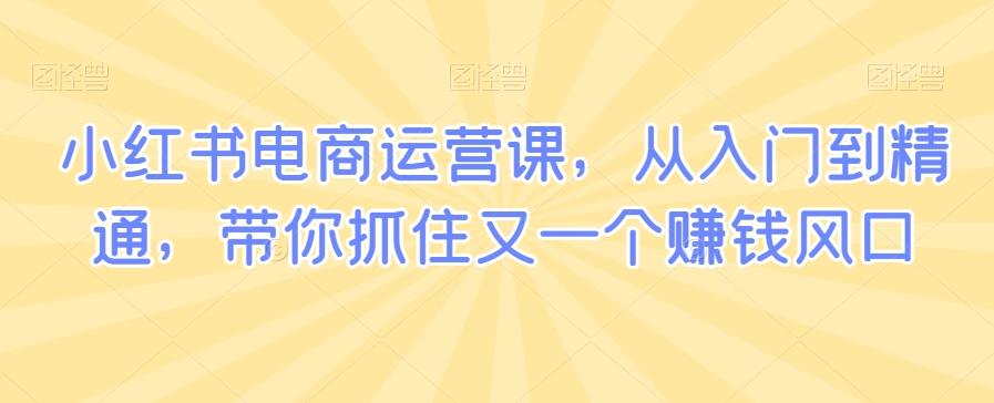 小红书电商运营课，从入门到精通，带你抓住又一个赚钱风口-87创业网