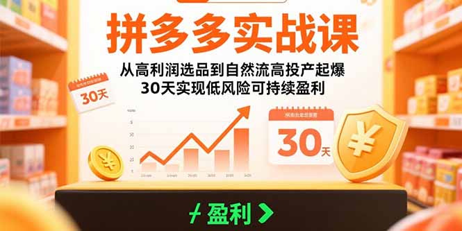 拼多多实战课：从高利润选品到自然流高投产起爆 30天实现低风险可持续盈利-87创业网