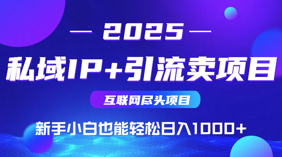 2025网创尽头项目，私域IP+引流，新手小白也能在家日入1000+-87创业网