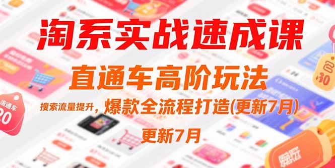 淘系实战速成课，直通车高阶玩法，搜索流量提升，爆款全流程打造(更新7月-87创业网