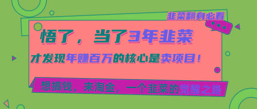 悟了，当了3年韭菜，才发现网赚圈年赚100万的核心是卖项目，含泪分享！-87创业网