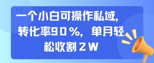 一个小白可操作私域，转化率90%，单月轻松收割2W-87创业网