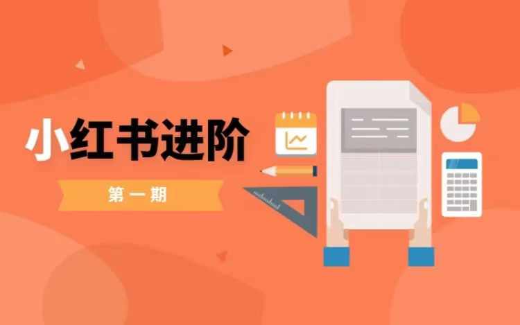 小红书进阶篇，零基础小白实战课，普通人变现的课程-87创业网