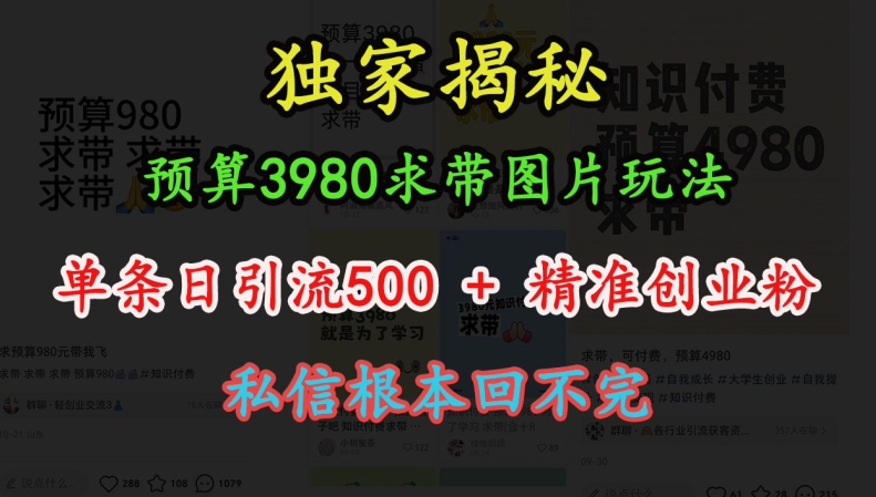 预算3980求带 图片玩法，单条日引流500+精准创业粉，私信根本回不完-87创业网