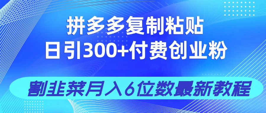 拼多多复制粘贴日引300+付费创业粉，割韭菜月入6位数最新教程！-87创业网