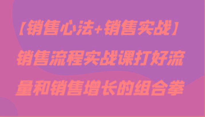 【销售心法+销售实战】销售流程实战课打好流量和销售增长的组合拳-87创业网