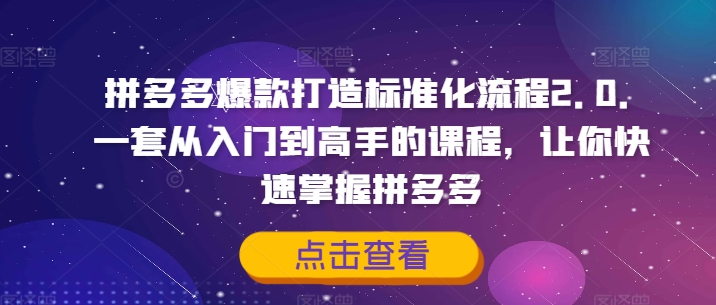 拼多多爆款打造标准化流程2.0，一套从入门到高手的课程，让你快速掌握拼多多-87创业网