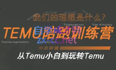 苗苗·拼多多跨境（temu）课程-87创业网