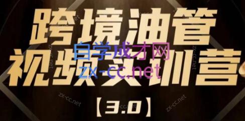 阿蔺Leo·跨境油管视频YouTube实训营(更新2025)-87创业网
