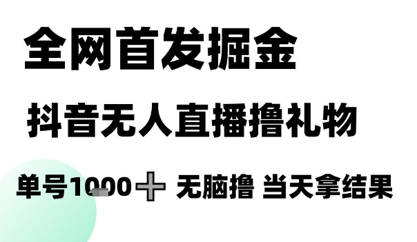 全网首发掘金抖音无人直播撸礼物，单号1k +无脑撸，当天拿结果【揭秘】-87创业网