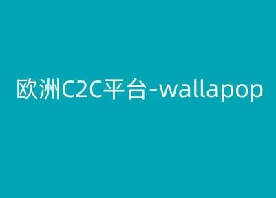 欧洲C2C平台-wallapop-kim跨境电商教程-87创业网