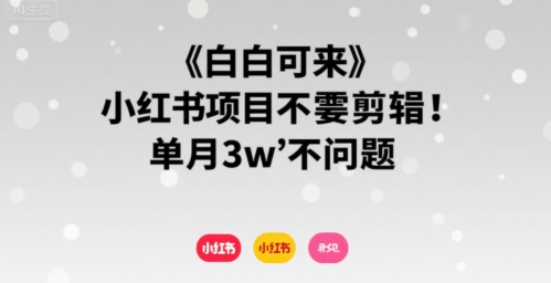 小白可来 小红书项目不需要剪辑 单月3w不是问题-87创业网