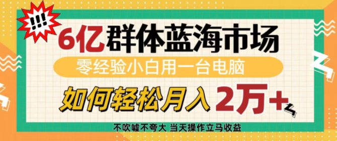 6亿群体蓝海市场，零经验小白用一台电脑，如何轻松月入过w【揭秘】-87创业网