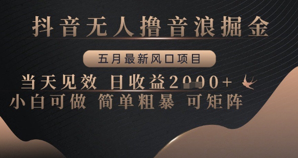 抖音无人撸音浪掘金，五月最新风口项目，当天见效，日收益多张，小白可做简单粗暴可矩阵【揭秘】-87创业网
