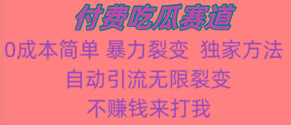 吃瓜付费赛道，暴力无限裂变，0成本，实测日入700+！！！-87创业网