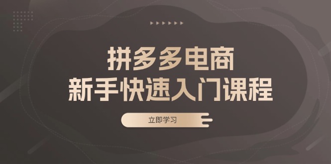 拼多多电商新手快速入门课程：涵盖基础、实战与选款，助力小白轻松上手-87创业网