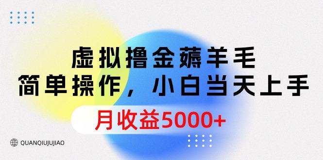 (9864期)虚拟撸金薅羊毛，简单操作，小白当天上手，月收益5000+-87创业网