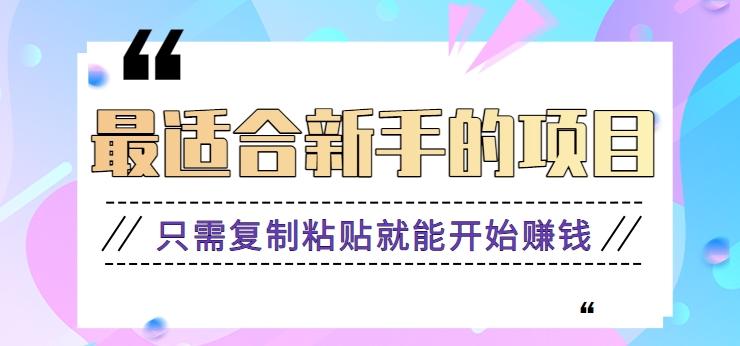 2024最适合新手操作的项目，新手小白只需复制粘贴就能开始赚钱【视频教程+软件】-87创业网