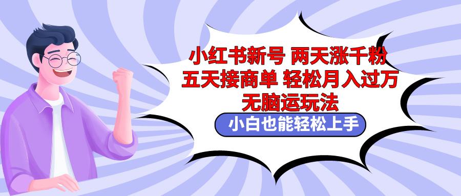 小红书新号两天涨千粉五天接商单轻松月入过万 无脑搬运玩法 小白也能轻…-87创业网