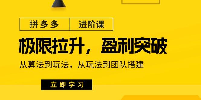 拼多多·进阶课：极限拉升/盈利突破：从算法到玩法 从玩法到团队搭建-18节-87创业网