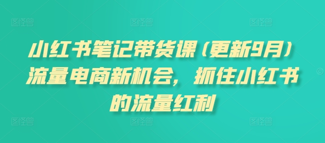 小红书笔记带货课(更新25年4月)流量电商新机会，抓住小红书的流量红利-87创业网