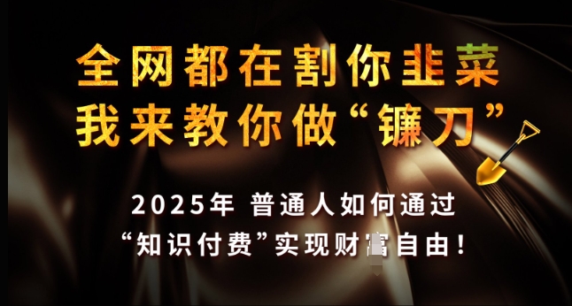 全网都在割你韭菜，我来教你做镰刀，2025年普通人如何通过 知识付费 实现财F自由【揭秘】-87创业网